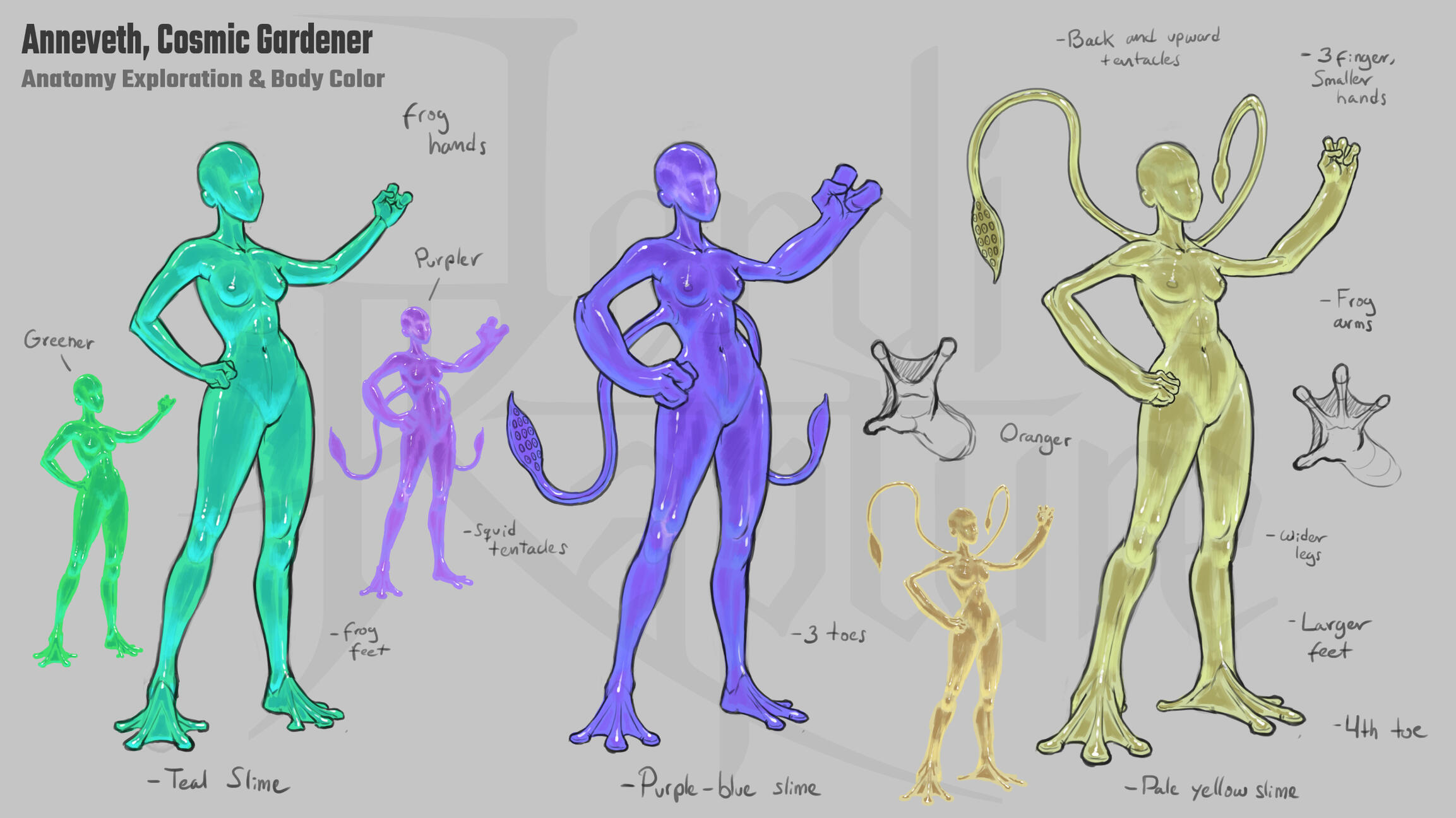 Anatomy Exploration and Body Pigment