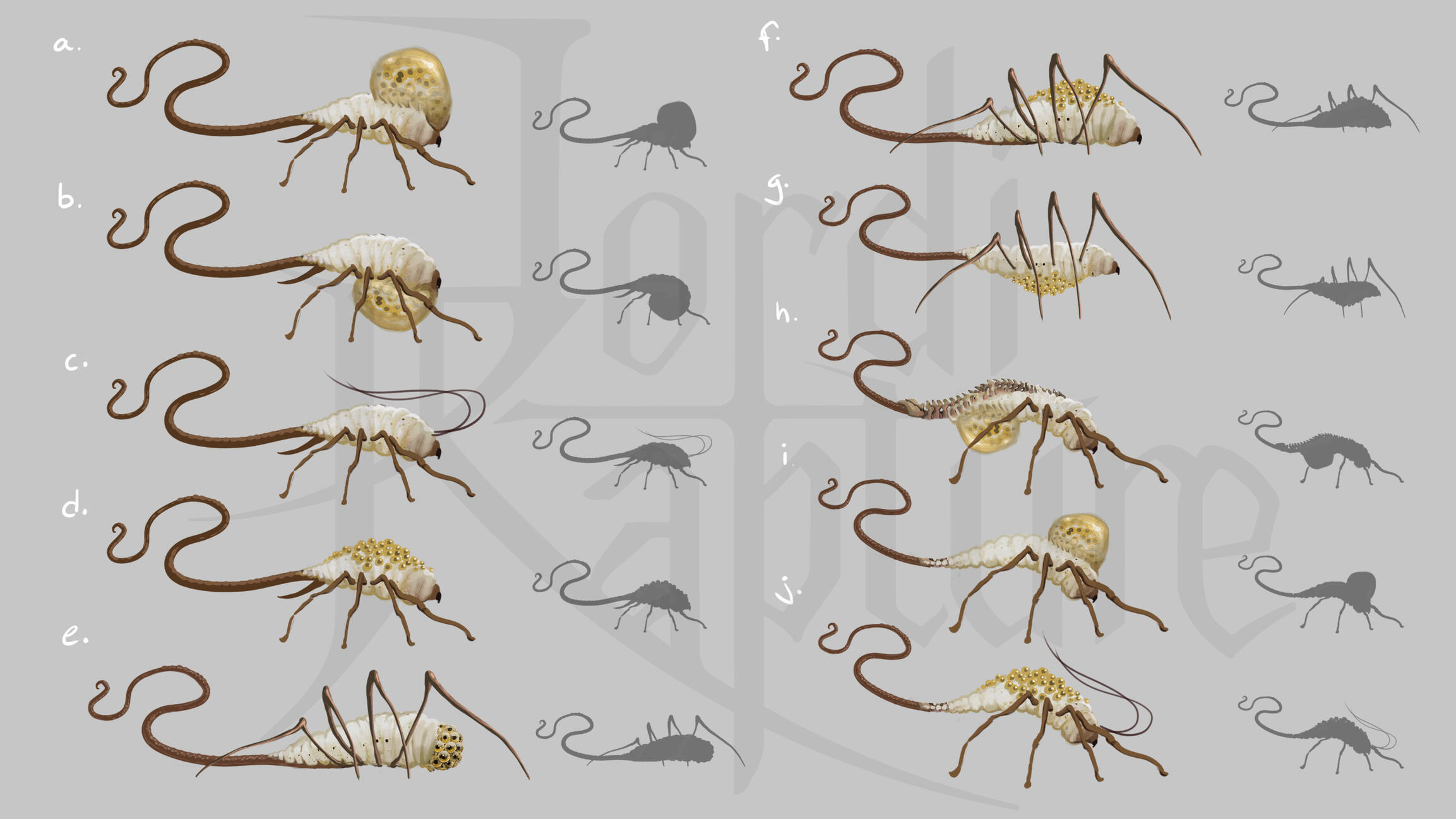 Iterations from a previous parasite concept 1.