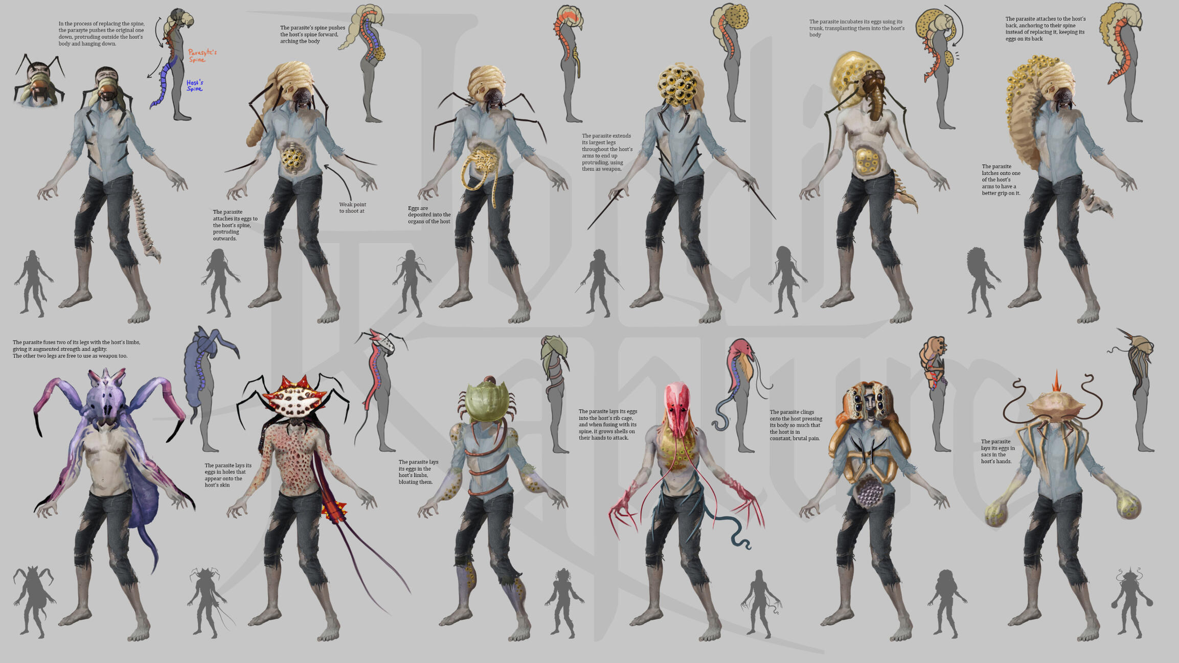 Host Design Ideas 1.