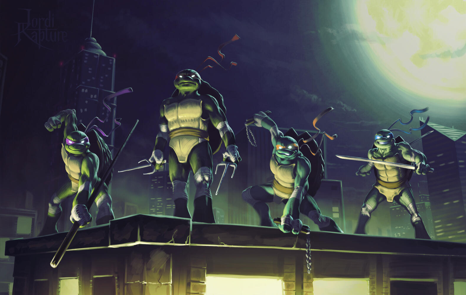 Teenage Mutant Ninja Turtles (Commission)